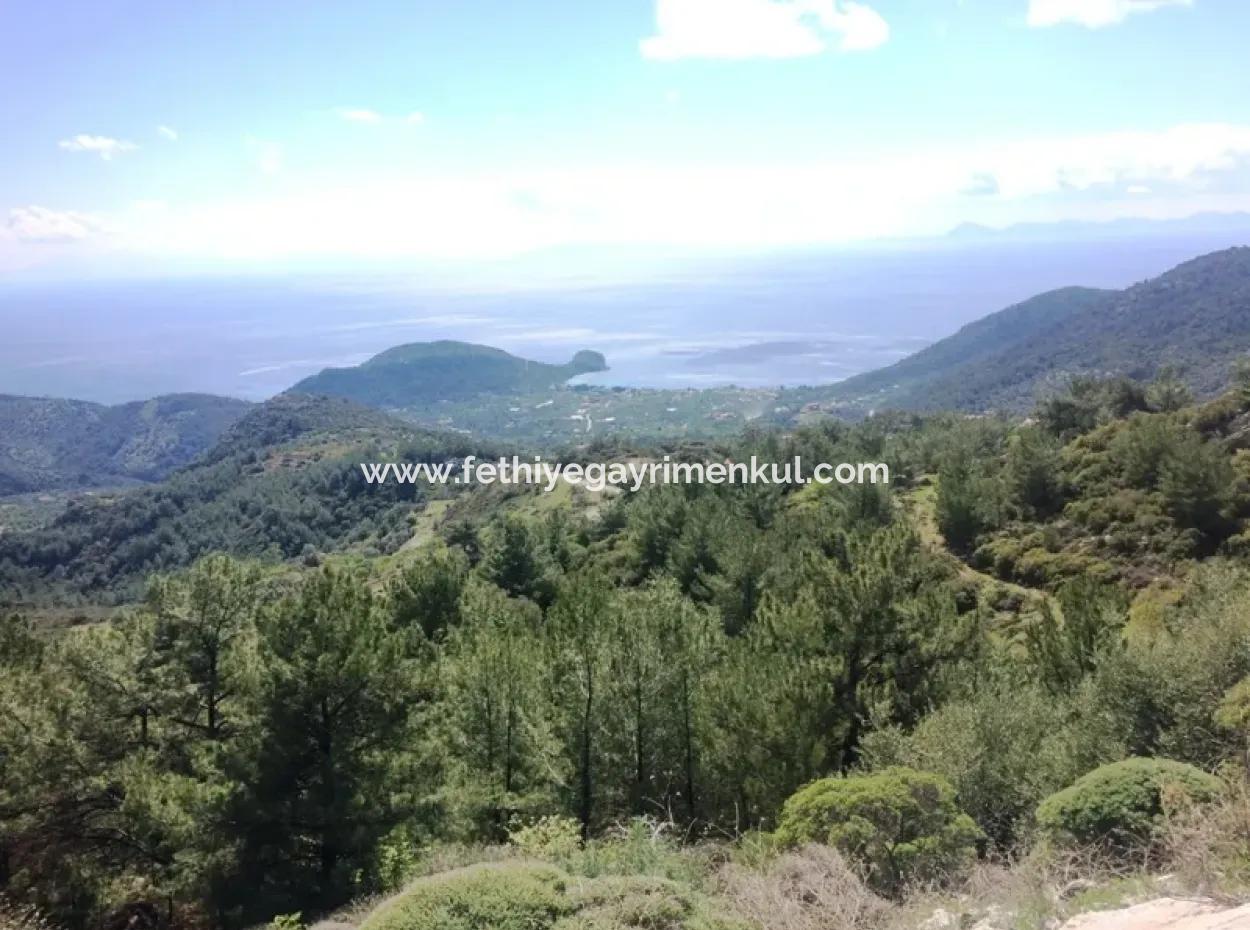 Grundstück Zu Verkaufen Mit Meerblick Mit 52000M2 Parzelle In Mugla Provinz Datca Bezirk Masoudye Nachbarschaft