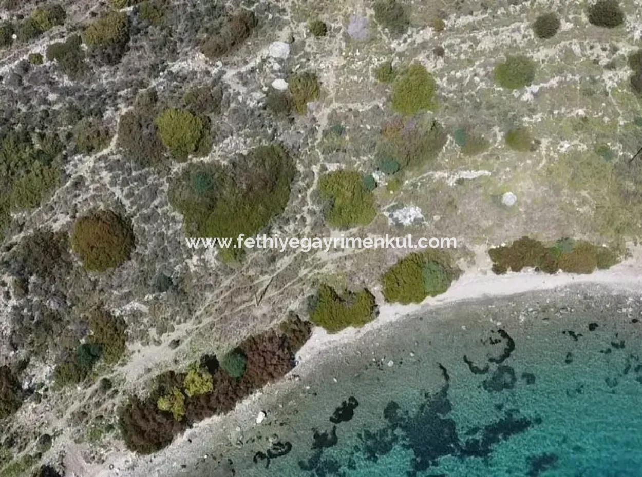 Feld Zum Verkauf Im Dorf Marmaris Söğüt Mit 500 M2 Meerblick 20 Meter Zum Meer