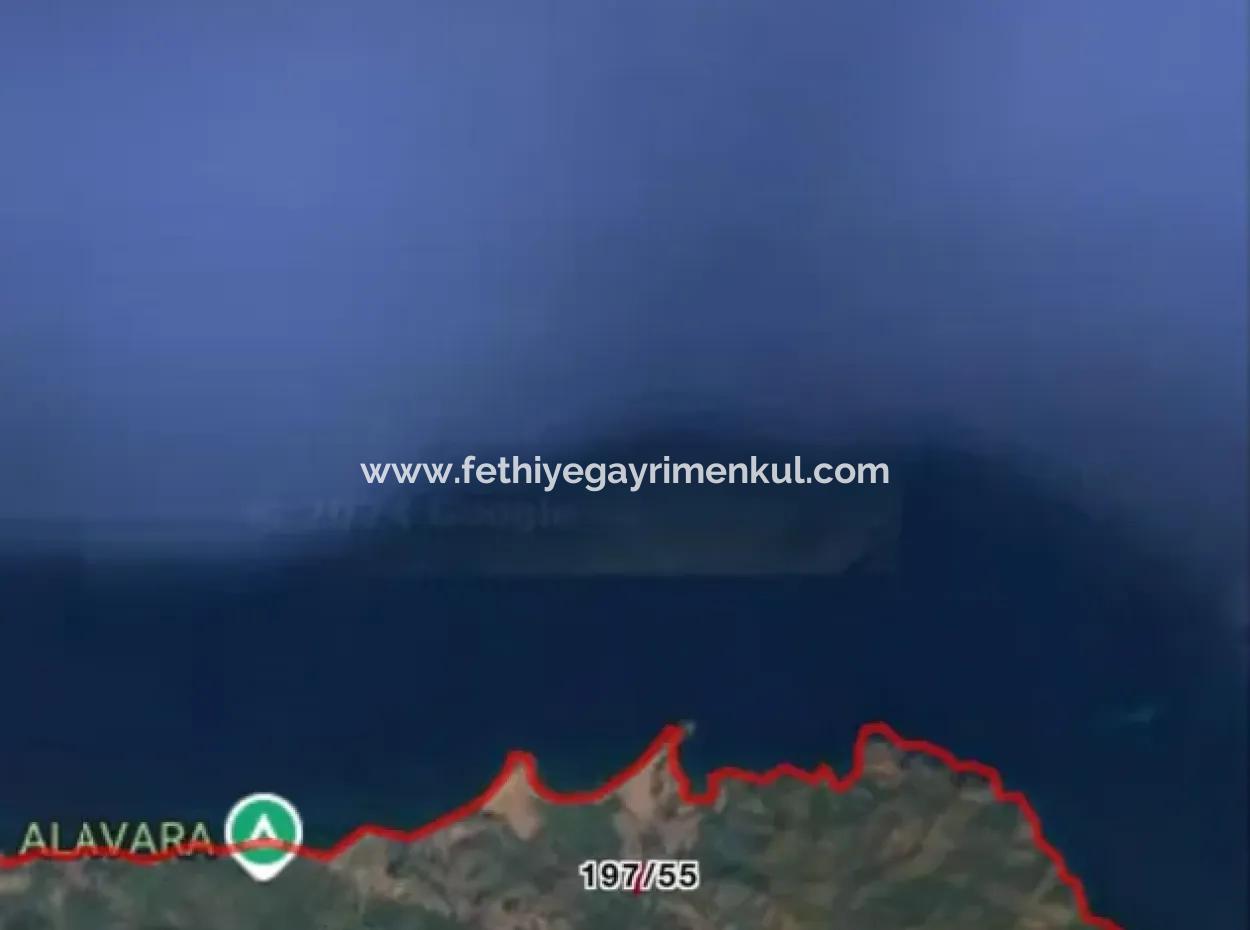 Grundstück Zum Verkauf Im Viertel Avlana Des Bezirks Datca In Der Nähe Des Meeres Von 5200M2, Geeignet Für Investitionen