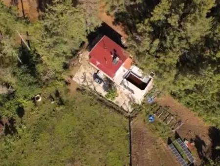 Ortaca-Stadtteil Zum Verkauf 10.000 M² Maßgefertigtes Bauernhaus Mit Pool