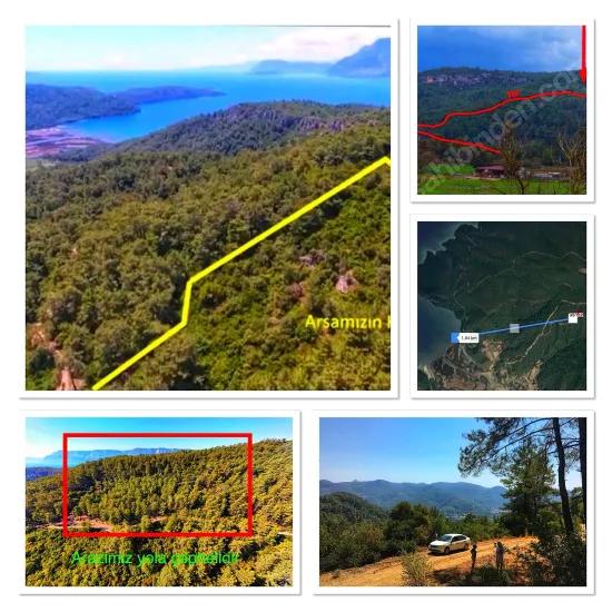 Marmaris Çetibelinde Wald Innerhalb 13.500 M2 Privat Nutzungsbereich