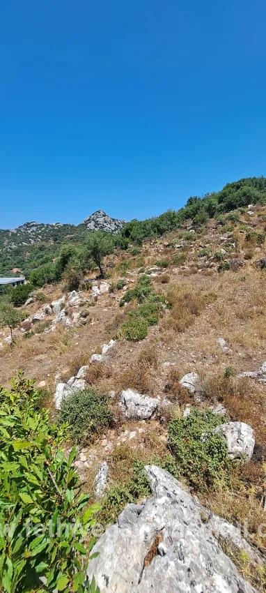 Field For sale in Selimiye Nbh. Marmaris - Field Zoned - 773 m²