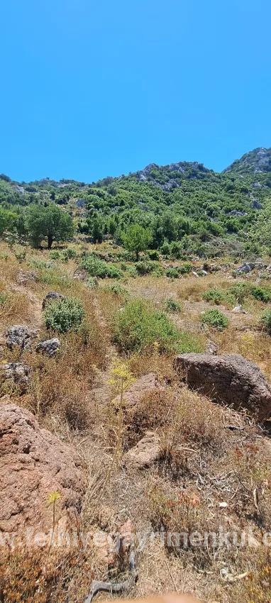 Marmaris Selimiye village has an Investment suitable 773 m2 for sale land