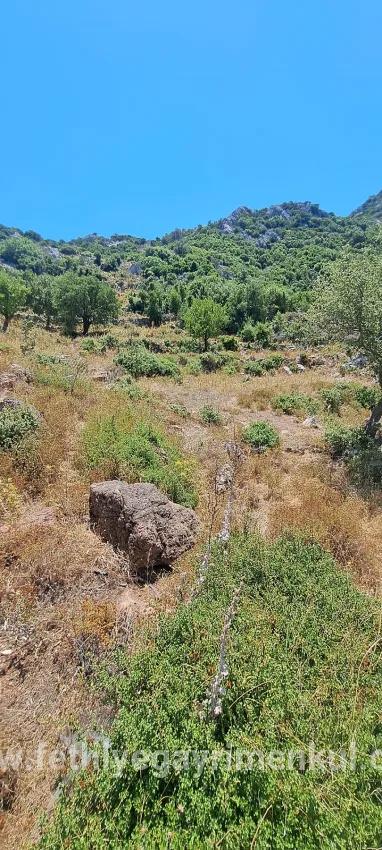 Marmaris Selimiye village has an Investment suitable 773 m2 for sale land