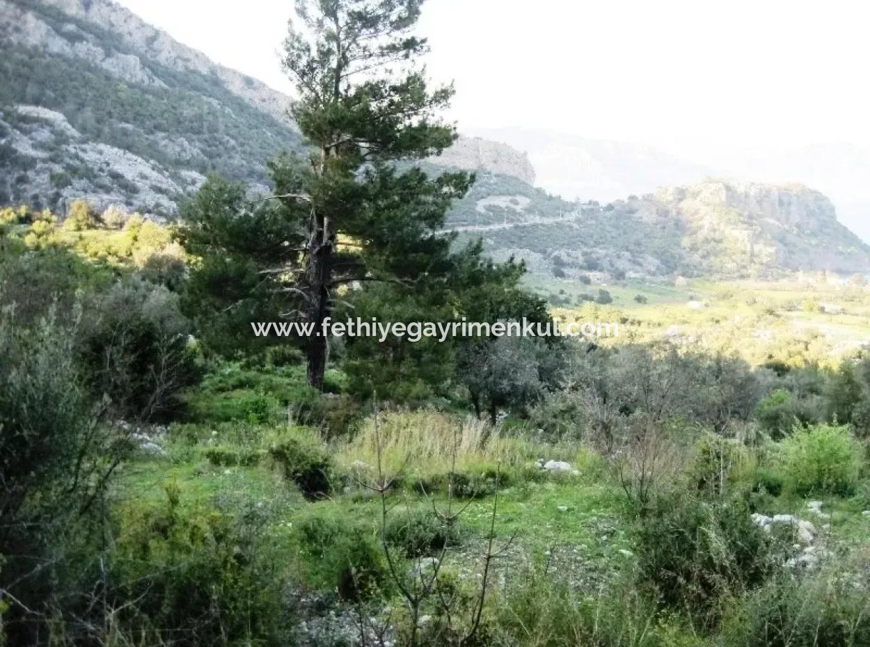 15000M2 Land For Sale With Sea Views At Kumlubük Bay, Marmaris