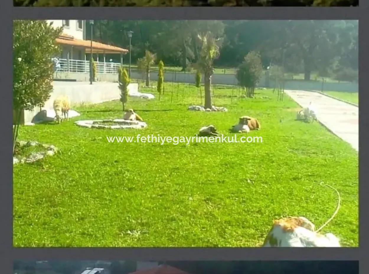 Built On A Plot Of 7000M2 In Marmaris, 8 Room Ranch House Pool