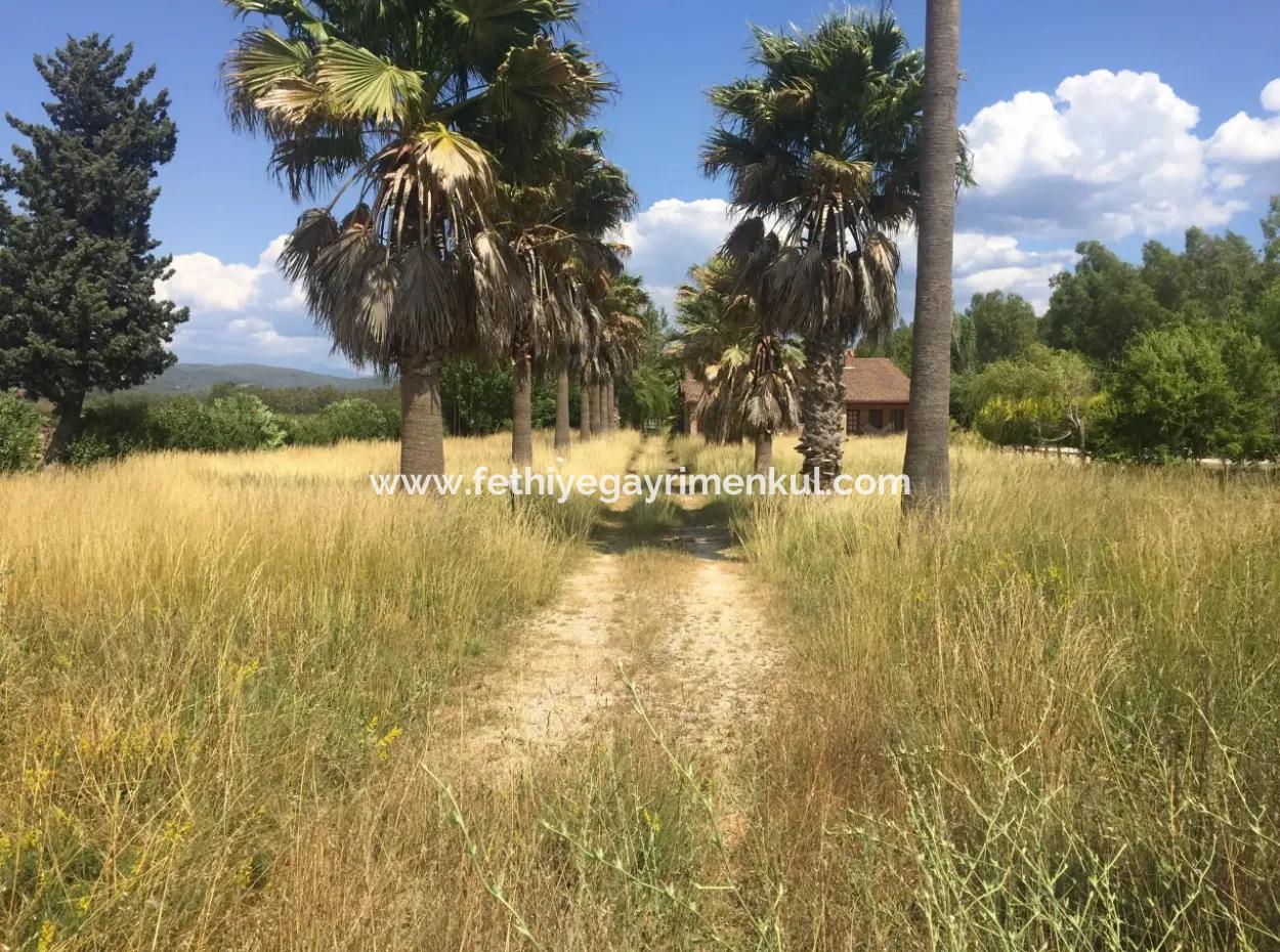 Amazing Farm For Sale In Mugla Gokova Bay, Built On 26000M2Arsa