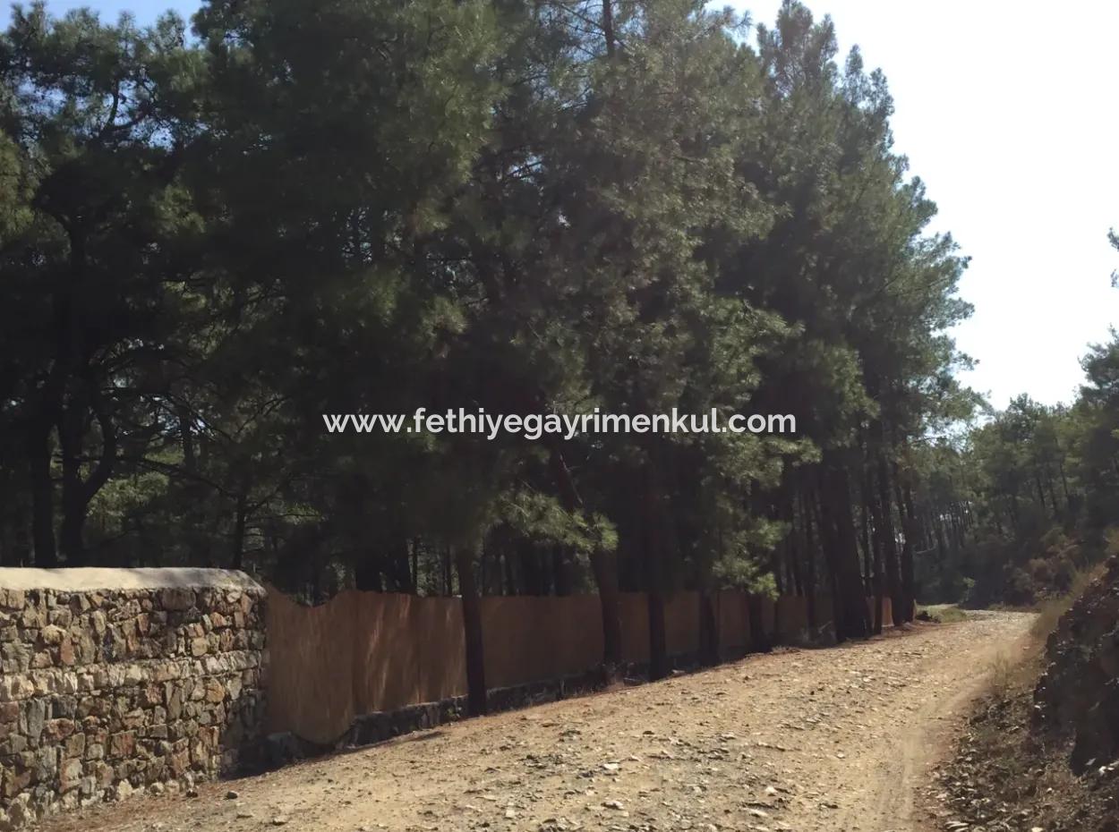 Land For Sale Suitable For Bungalow Hotel In 7500M2 Plot In Bördübet Bay