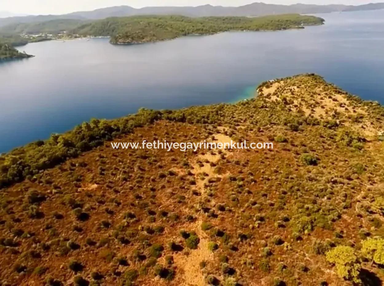 The Island For Sale In The Gulf Of Gökova In Marmaris District Has A Land Area Of 365000M2 And There Is A Registered House In It.