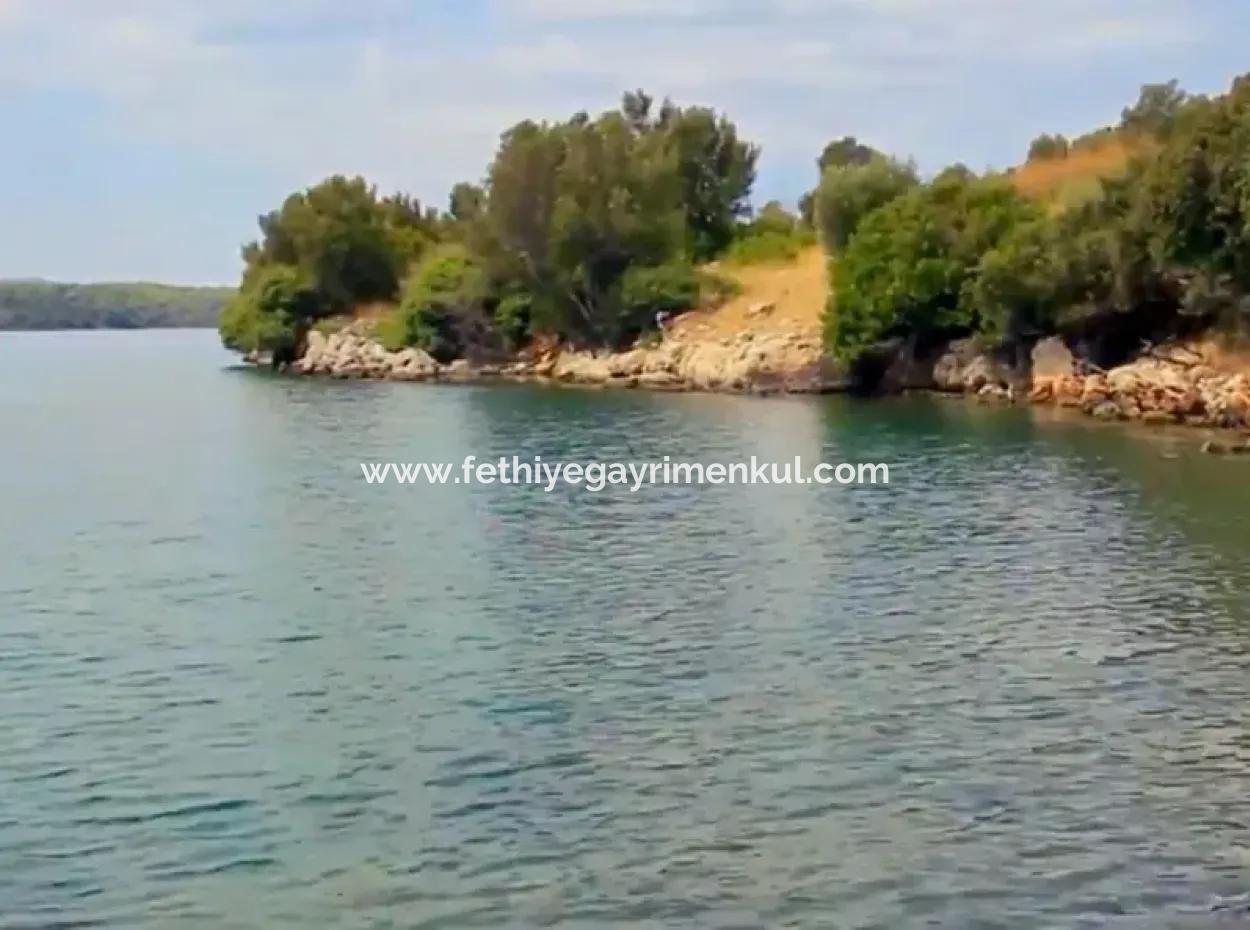 The Island For Sale In The Gulf Of Gökova In Marmaris District Has A Land Area Of 365000M2 And There Is A Registered House In It.