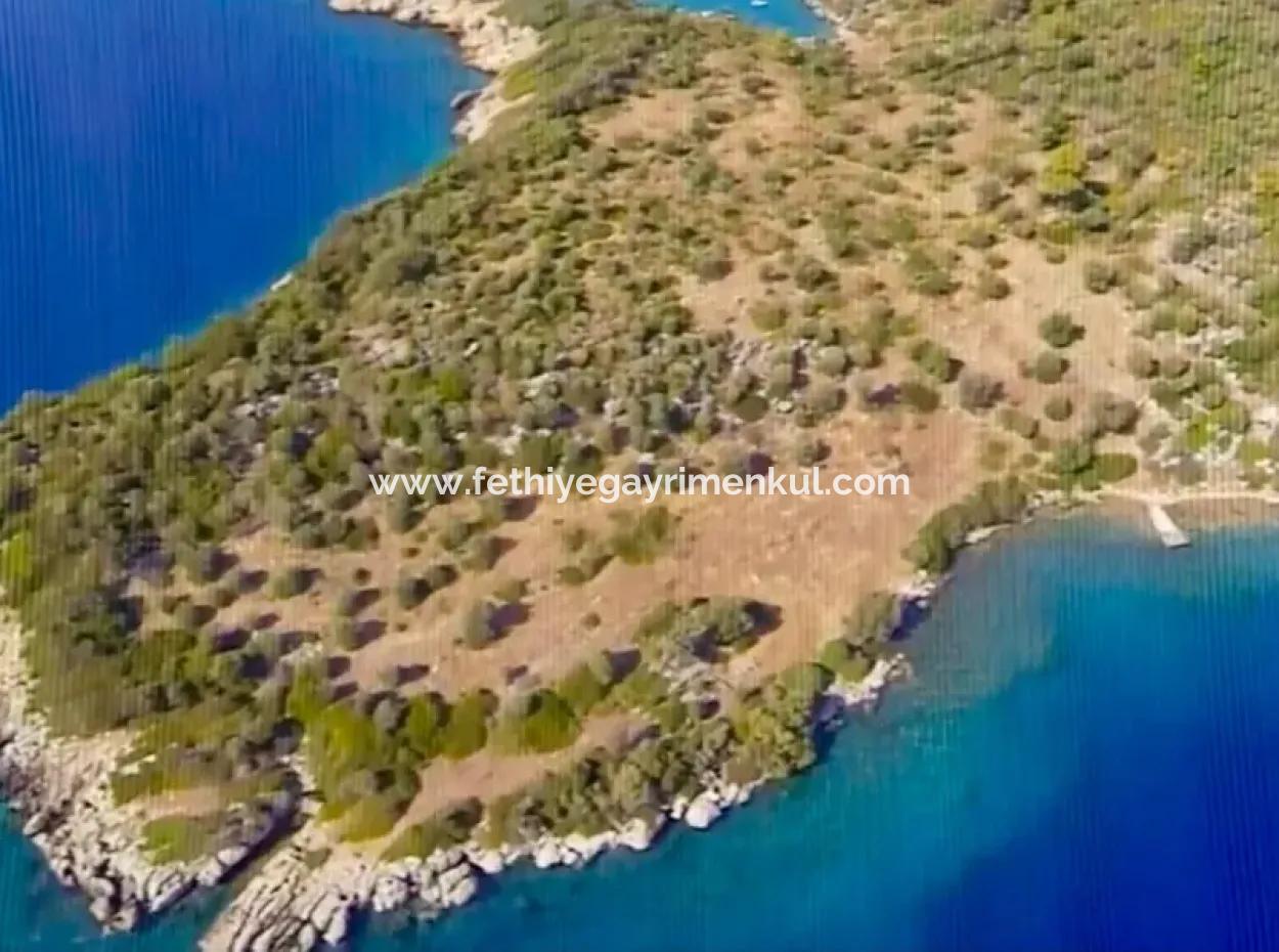 The Island For Sale In The Gulf Of Gökova In Marmaris District Has A Land Area Of 365000M2 And There Is A Registered House In It.