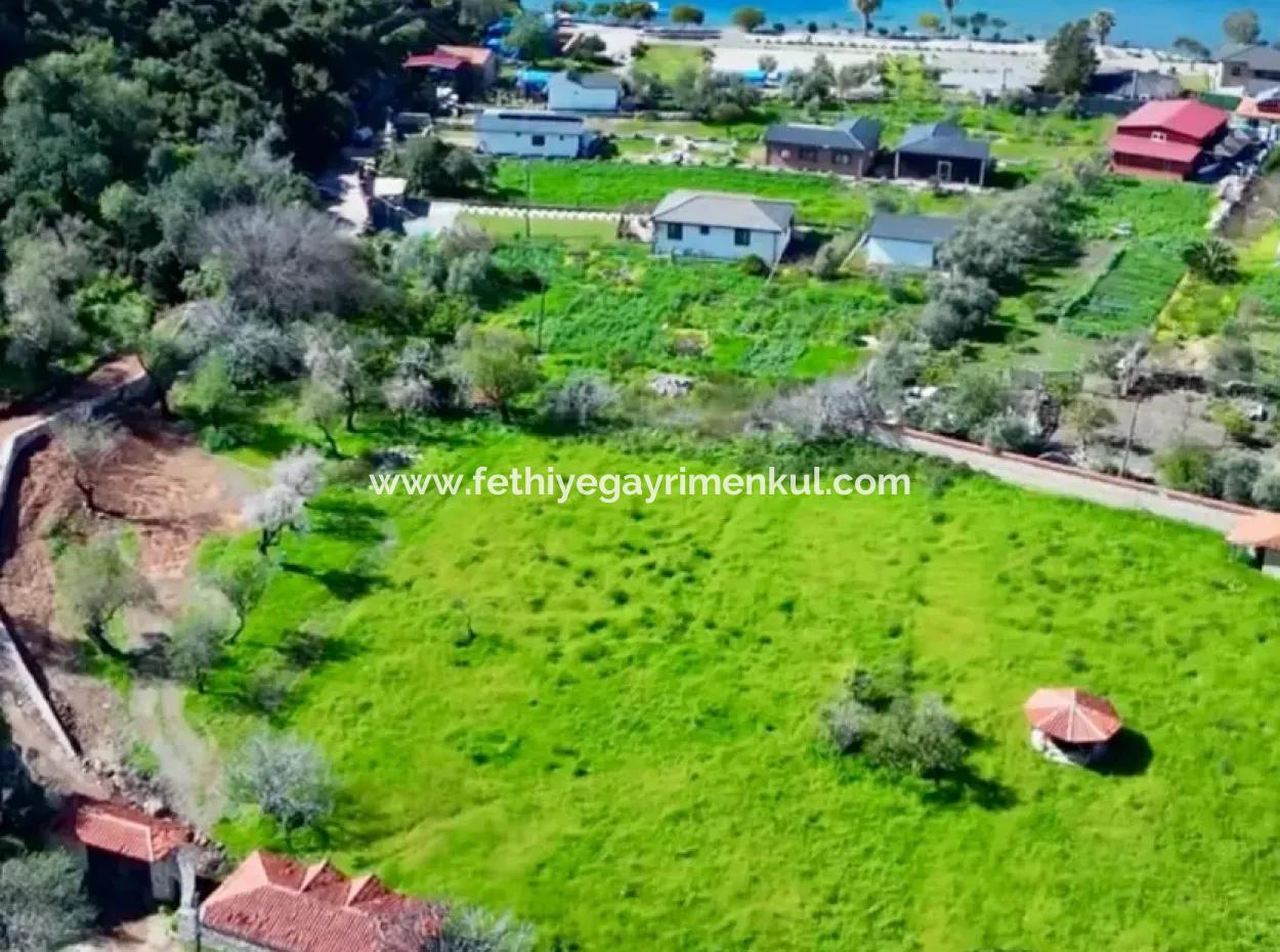Land For Sale In Söğüt Village Of Marmaris District, 150 Meters To The Sea, 10000M2. It Can Be Used As A Camping Caravan Camping Area In The Tourism Area.