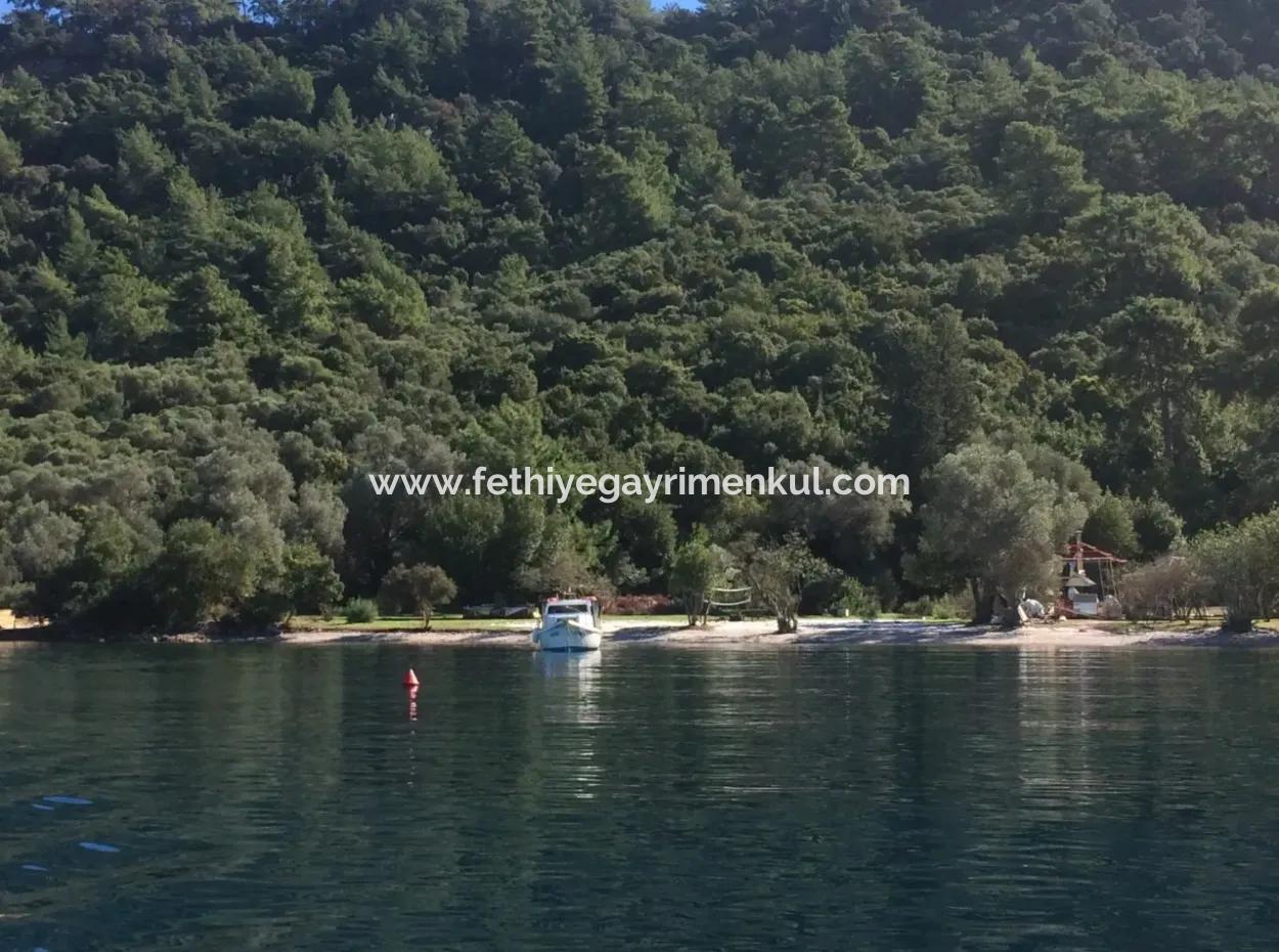 The Land For Sale From Marmaris Near The Sea Plot Hotels,Marina,Yacht Club Land 4000 M2