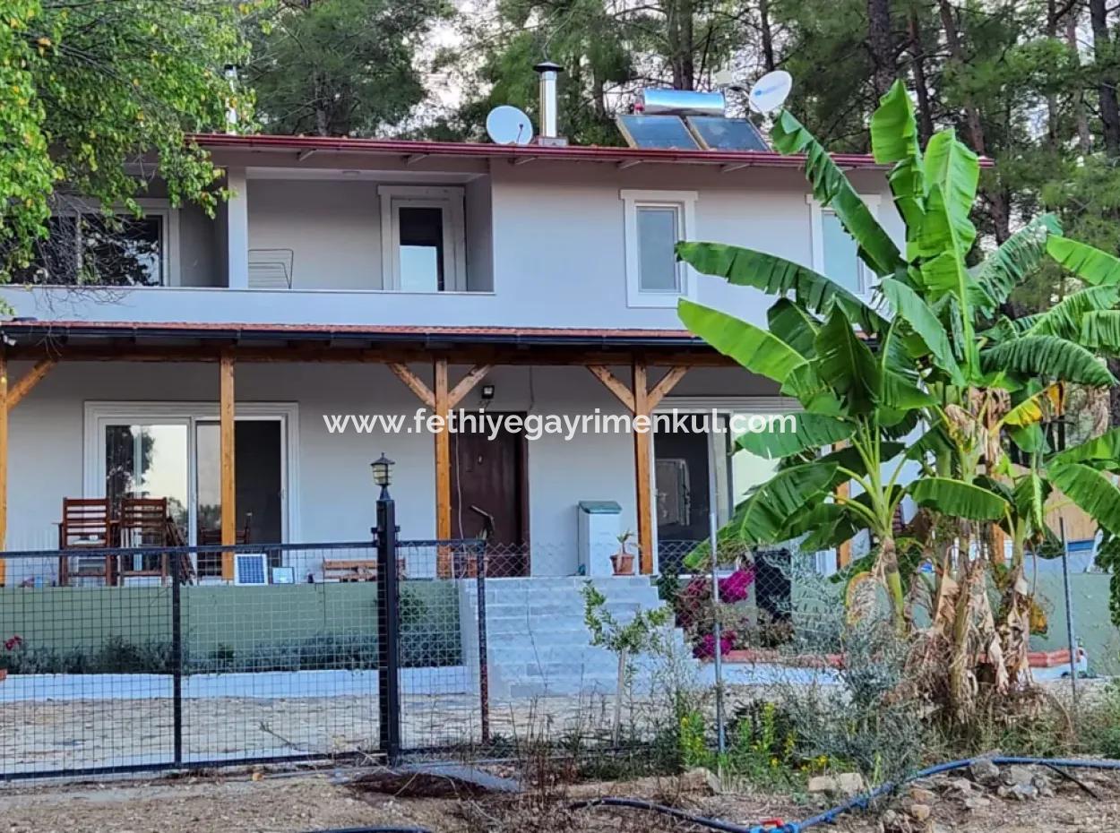 Ortaca Neighborhood For Sale 10.000 M2 Custom Made Farmhouse With Pool