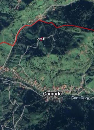 В Селе Хопа Kemelpaşa Есть 650 М2 Дорожки Чайного Сада