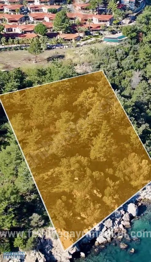 Marmaris Turunç koyunda denize sıfır 4700 m2 kontrollü kullanım alanı