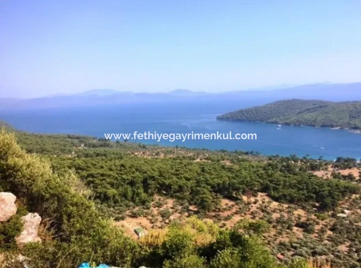 Mugla Akbuk Koyunda Deniz Manzarali 2750m2 Satilik Arsa