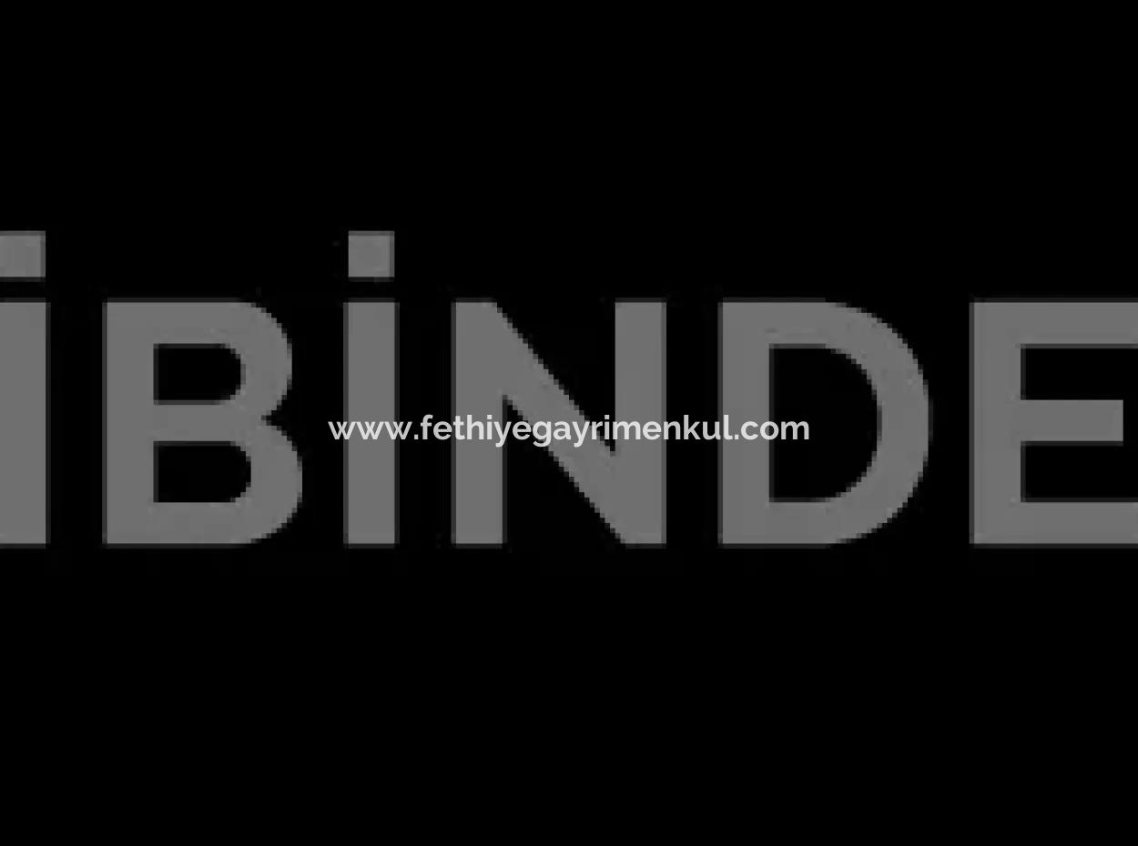 Muğla Bölgesinde 880000M2 Satılık Ceviz Bahçesi