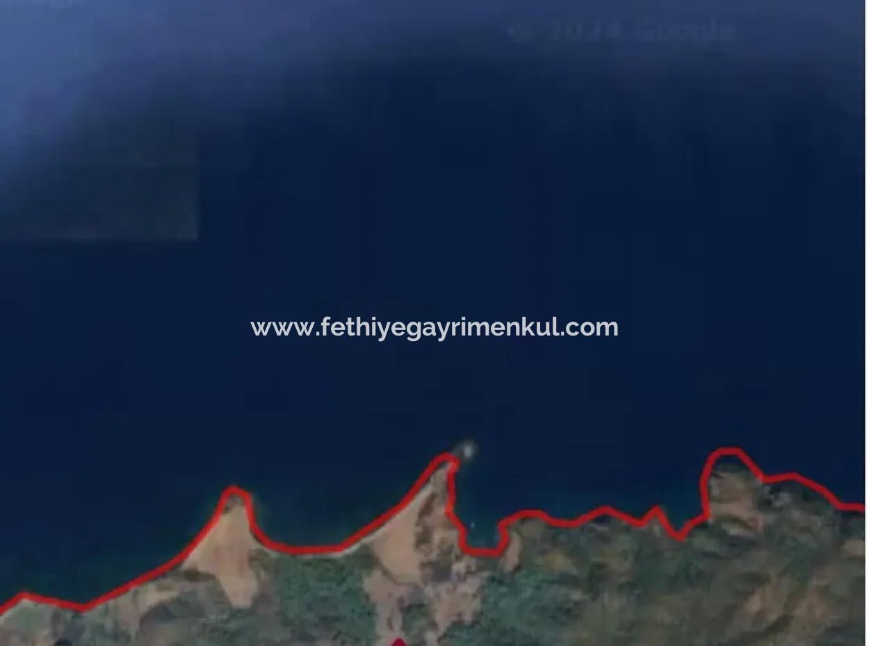 Datça İlçesi Avlana Mahallesinde 5200M2 Denize Yakın Yatırım İçin Uygun Satılık Arsa