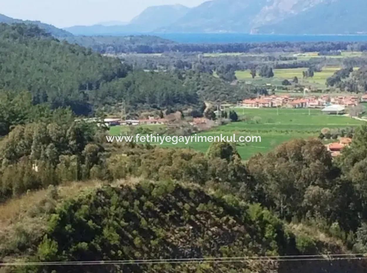 Gökova Bölgesinde Satılık Yüzme Havuzlu 8 Oda Taş Villa 740M2 Arsa