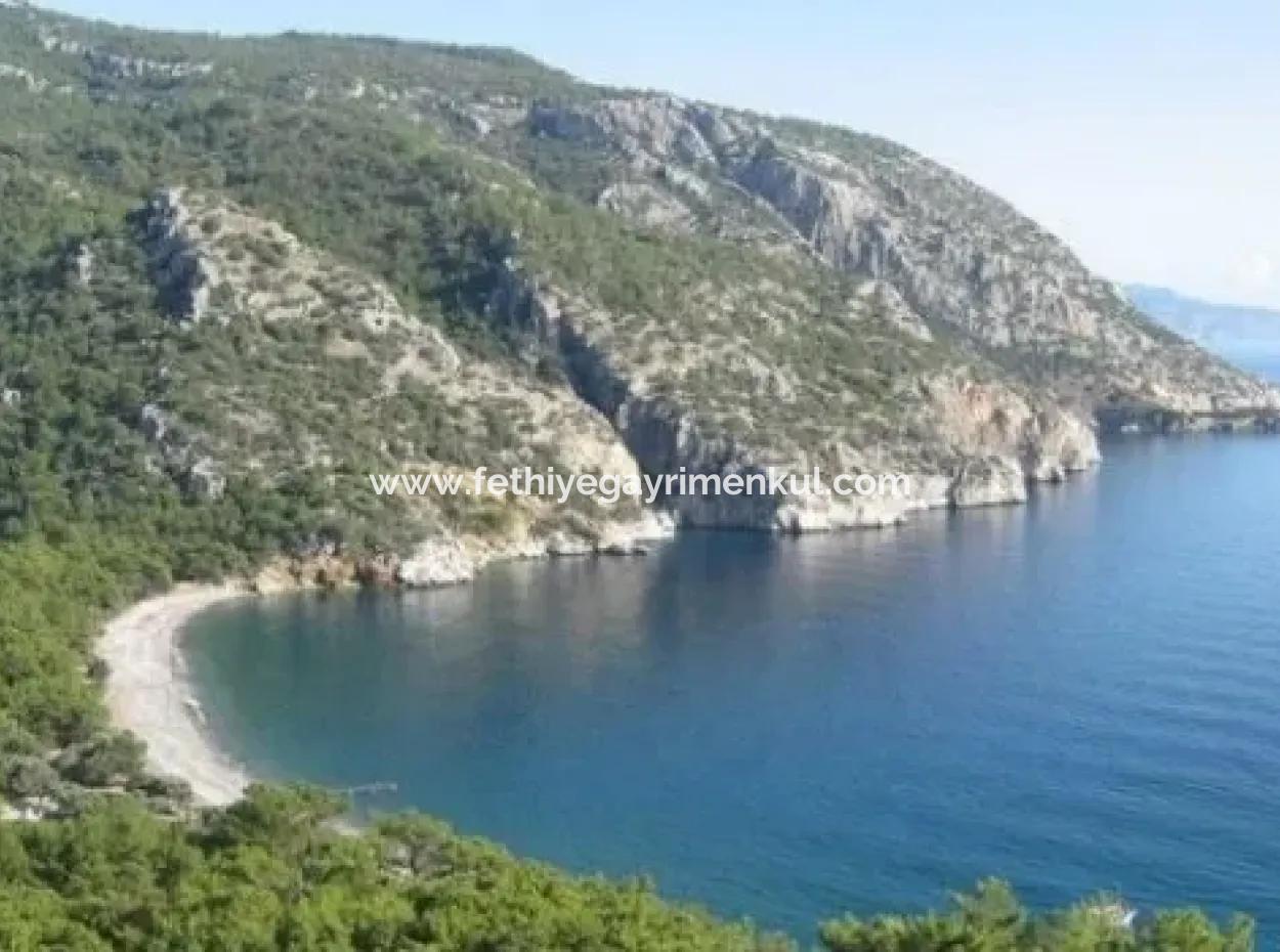 Datça Merkezinden 60 Km Uzaklıkta Satılık 100000M2 İmarlı Koy